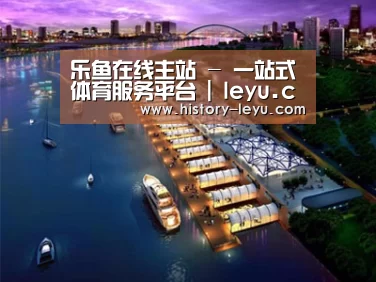 案例展示八